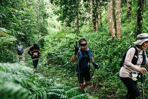 BIB: 
                            <button type="button" onclick="openModal(26405139)" class="btn btn-primary btn-sm float-right btn-popup" data-toggle="modal" data-target=".modal-high-quality">
                        <i class="fas fa-shopping-cart"></i> Add to Cart
                    </button>
                                            <button type="button" onclick="isThisMe(26405139, true)" class="btn btn-success btn-sm float-right btn-popup btn-isme hidden" data-toggle="tooltip" data-placement="bottom" title="นี่คือรูปของคุณใช่ไหม คลิกที่นี่เพื่อเอาเข้าอัลบั้ม">
                        <i class="fas fa-plus"></i> Add to album
                    </button>
                    <button type="button" onclick="isThisMe(26405139, false)" class="btn btn-warning btn-sm float-right btn-popup btn-isnotme hidden">
                        <i class="fas fa-ban"></i> Remove from album
                    </button>